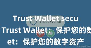 Trust Wallet secure app Trust Wallet：保护您的数字资产